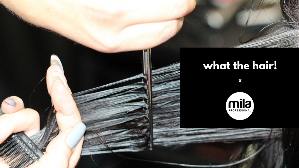 WHAT THE HAIR! Cykl szkoleń online